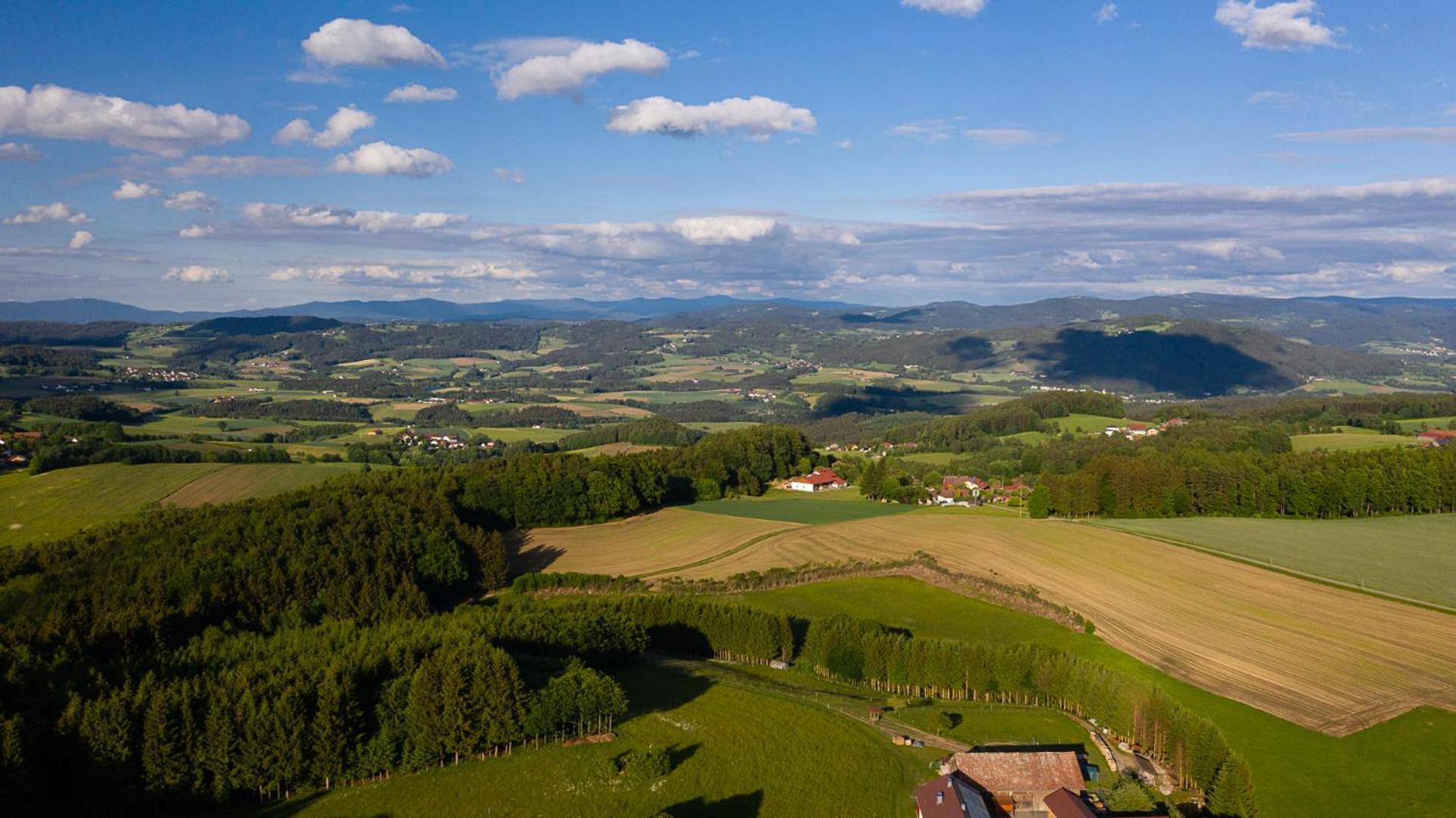 Ferienwohnung „Rose“ Wiesenfelden Buitenkant foto